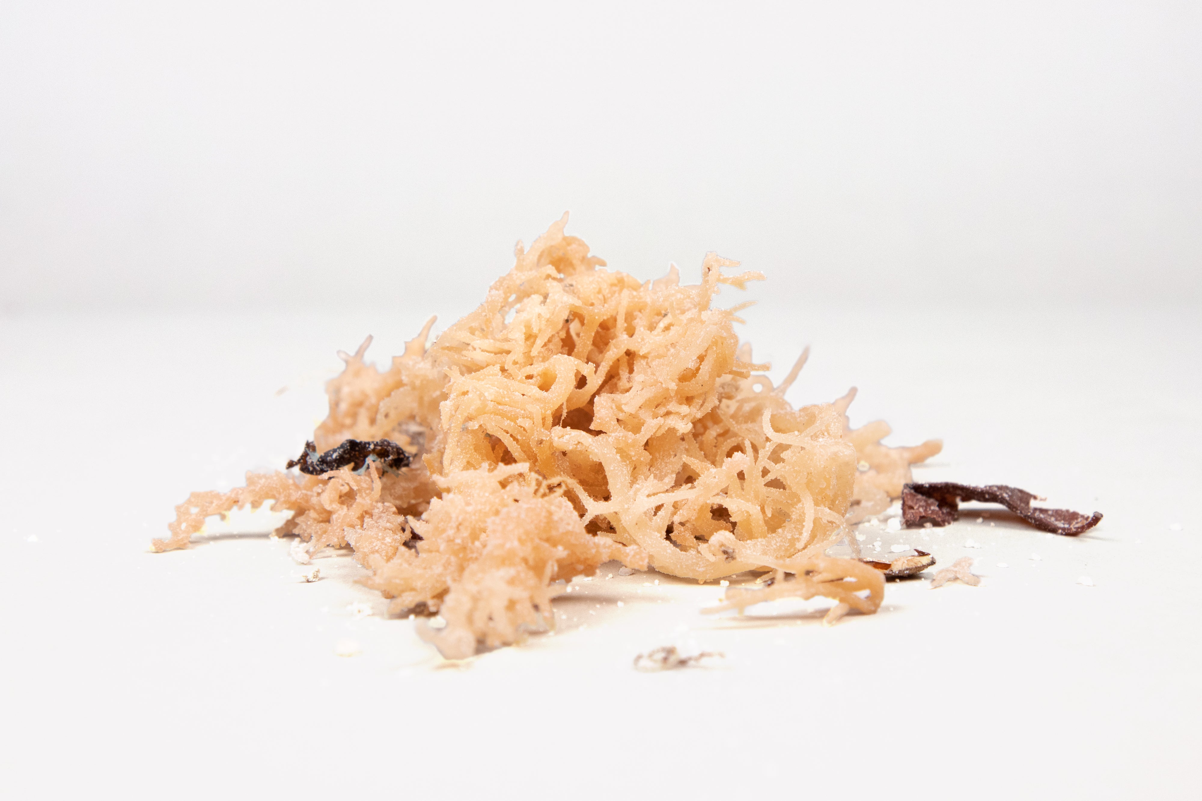 Raw Irish Sea Moss